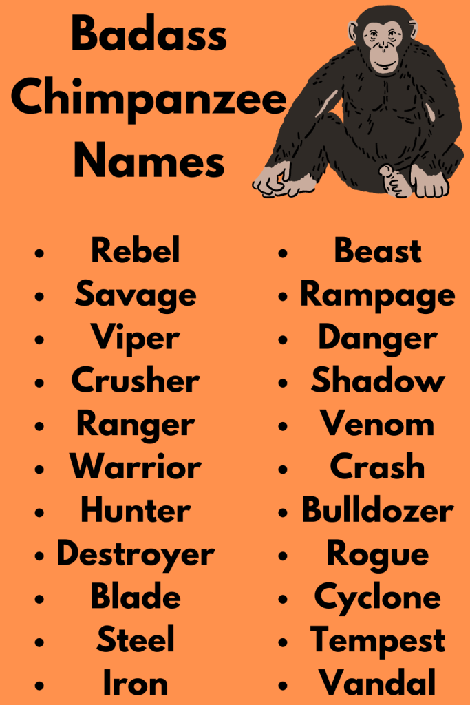 Badass Chimpanzee Names