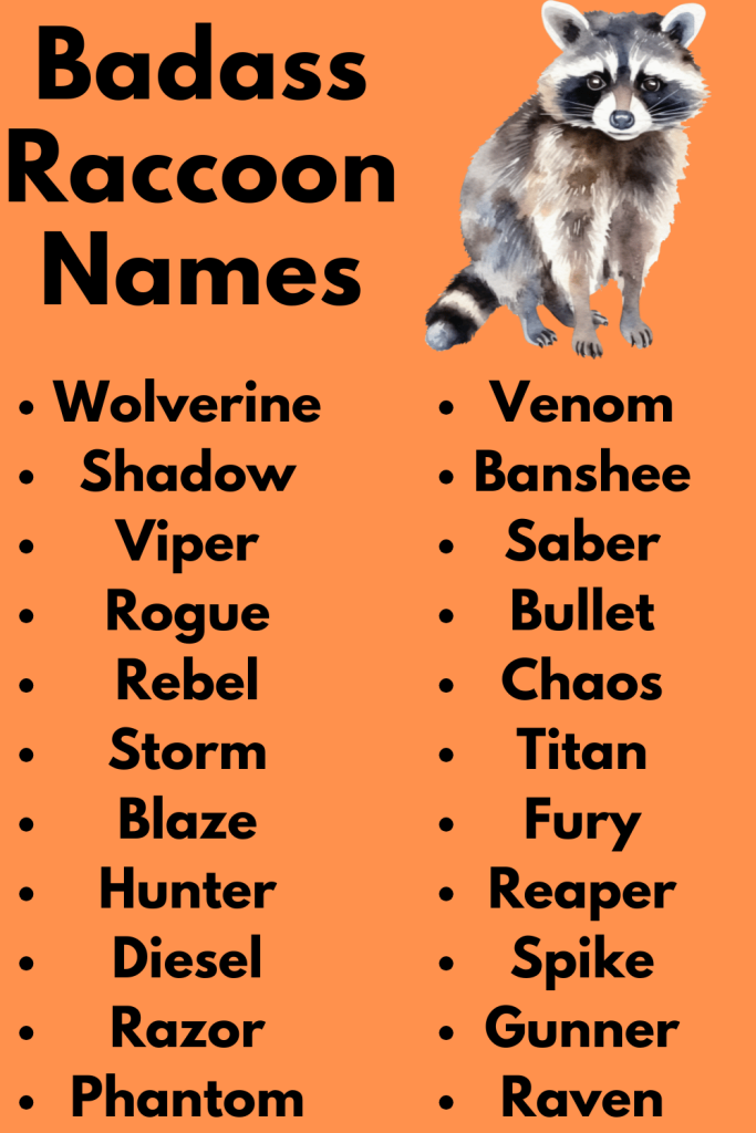 Badass Raccoon Names