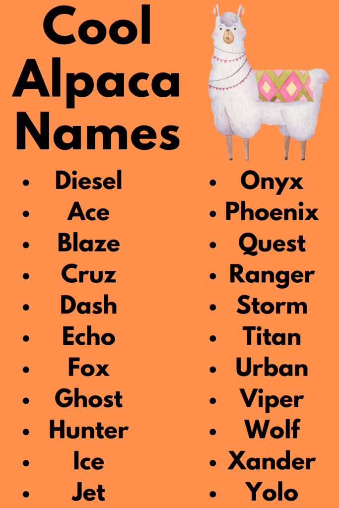 Cool Alpaca Names