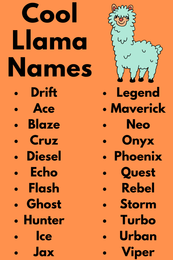 Cool Llama Names