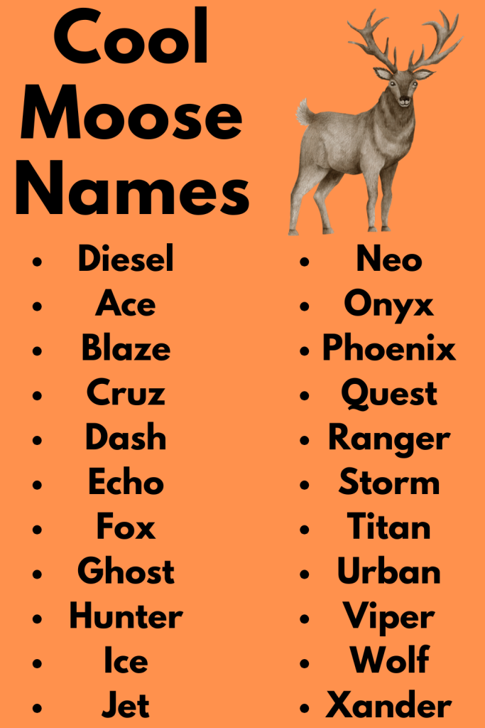 Cool Moose Names