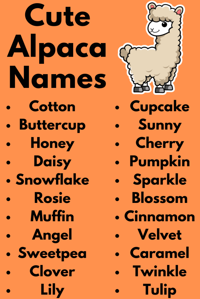 Cute Alpaca Names