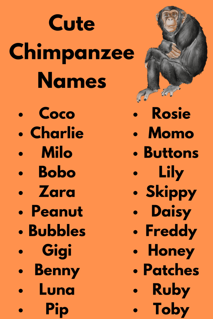 Cute Chimpanzee Names