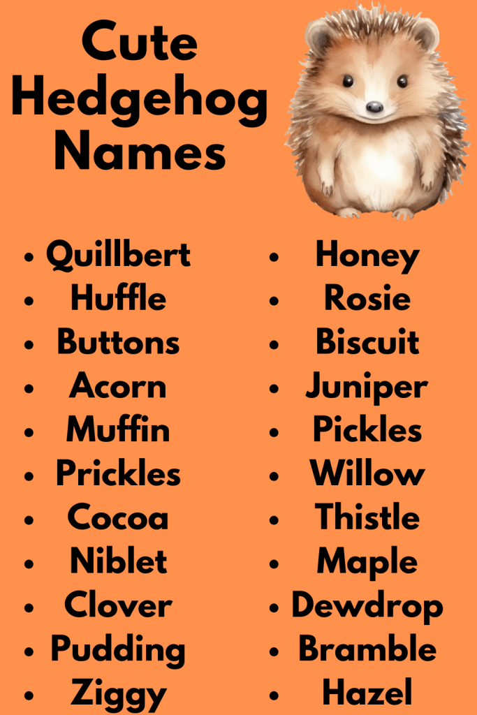 Cute Hedgehog Names