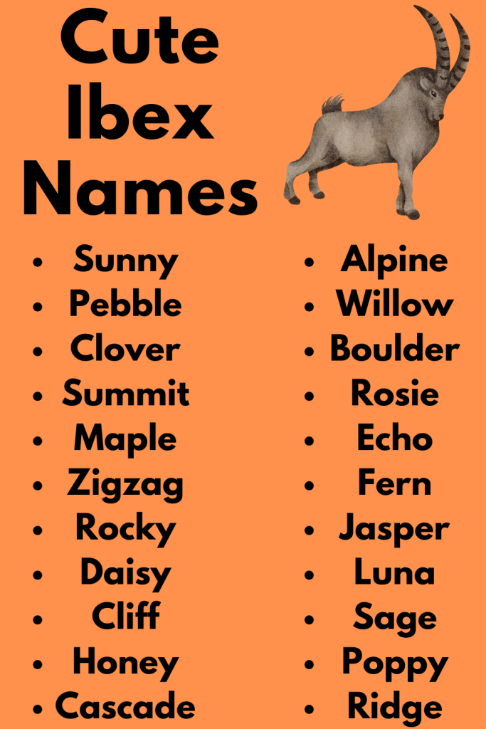Cute Ibex Names