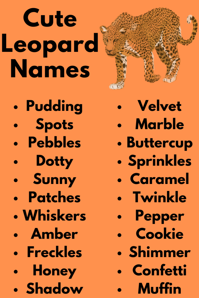 Cute Leopard Names