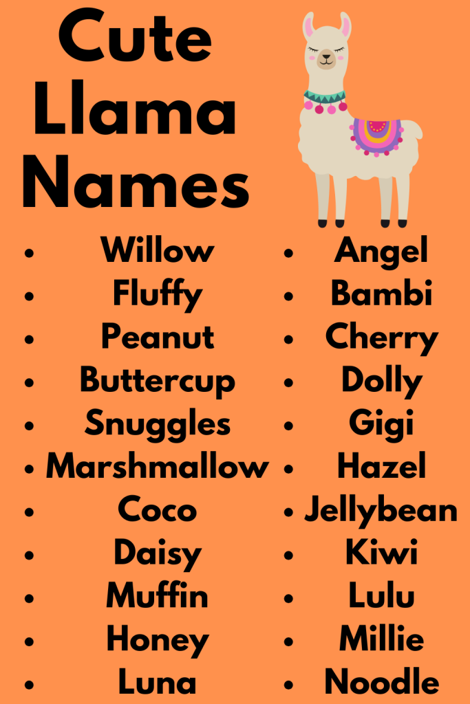 Cute Llama Names