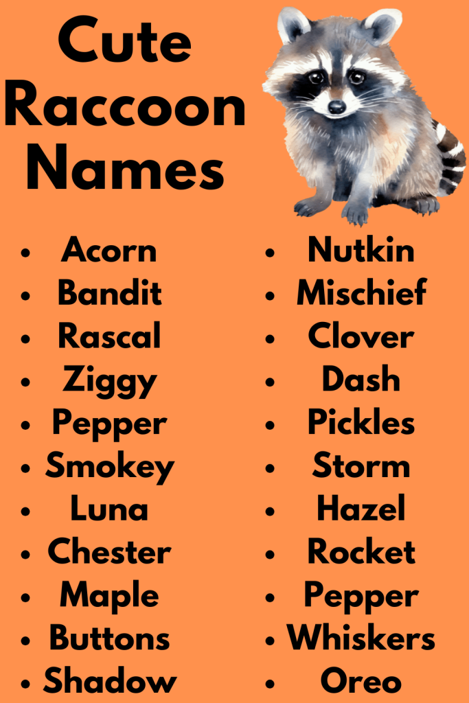 Cute Raccoon Names