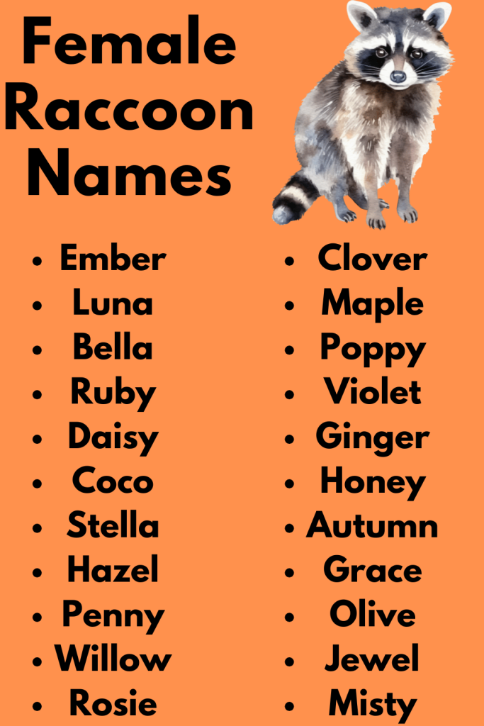 Female Raccoon Names