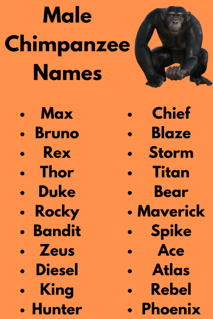 Male Chimpanzee Names