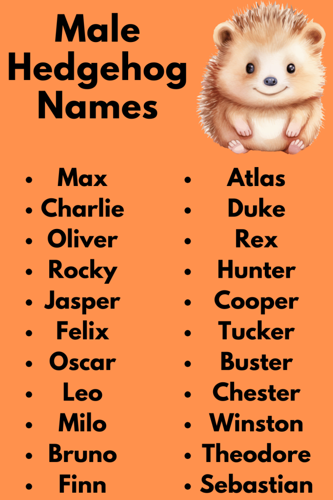 Male Hedgehog Names
