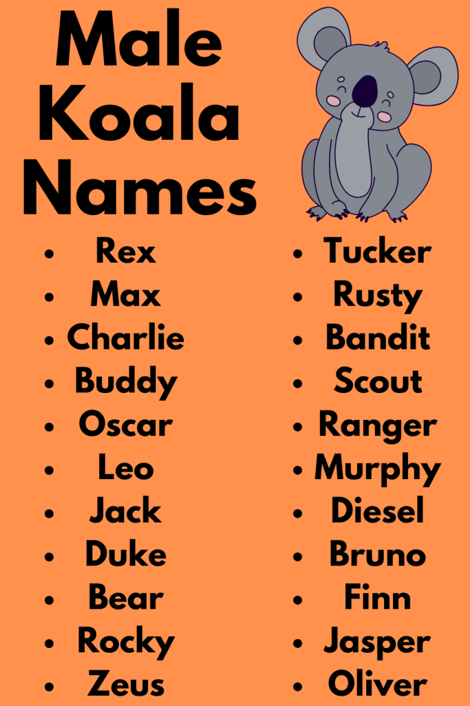 Male Koala Names