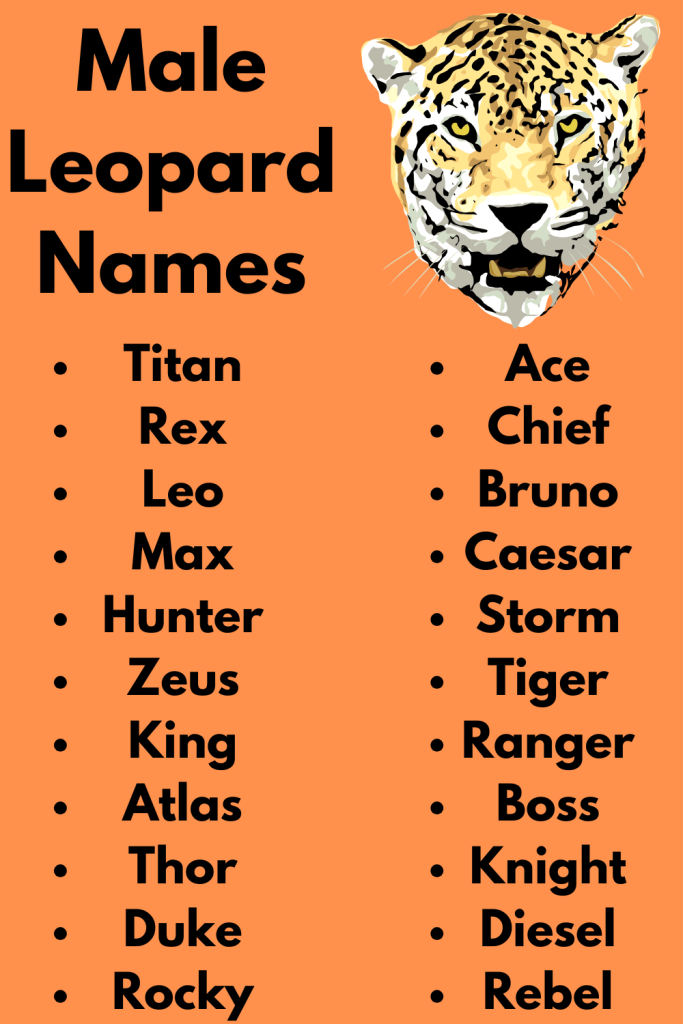 Male Leopard Names