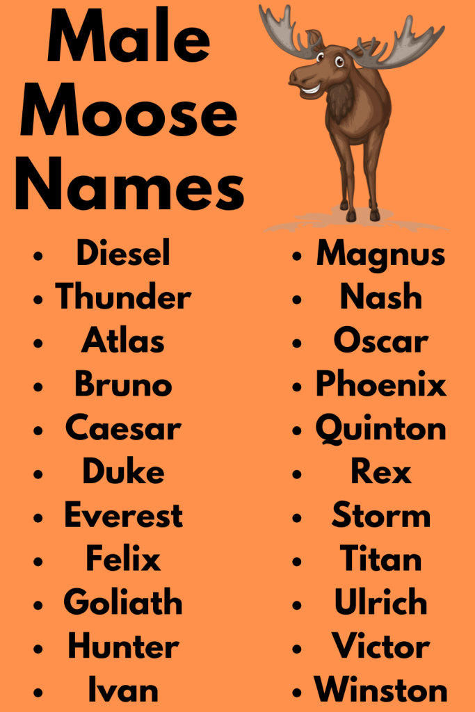 Male Moose Names