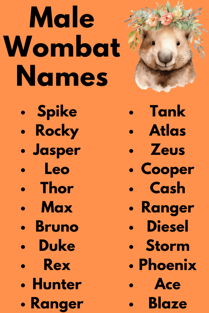 Male Wombat Names