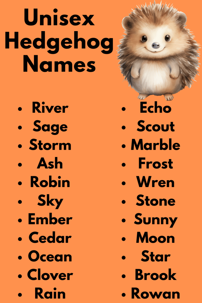 Unisex Hedgehog Names