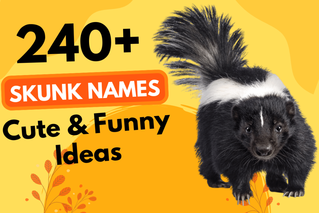 240 Skunk Names
