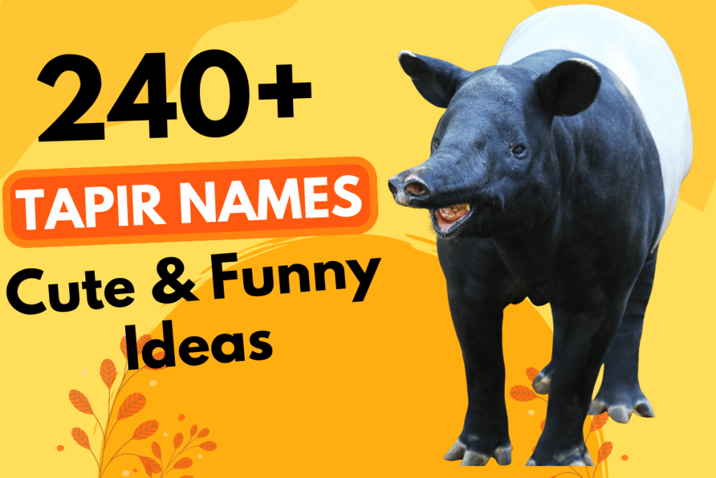 240 Tapir Names