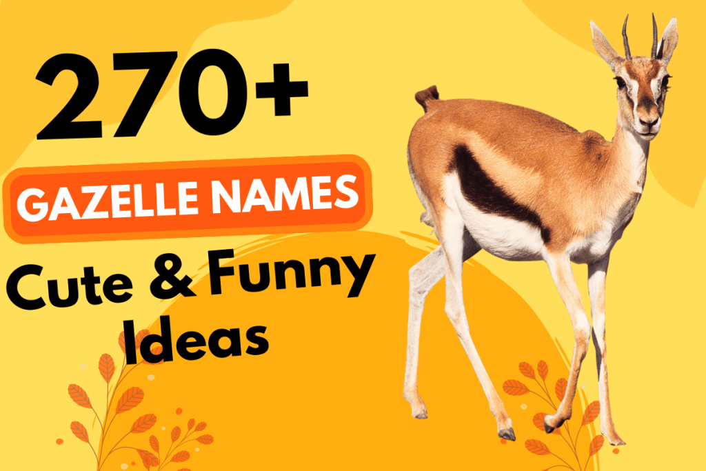 270 Gazelle Names