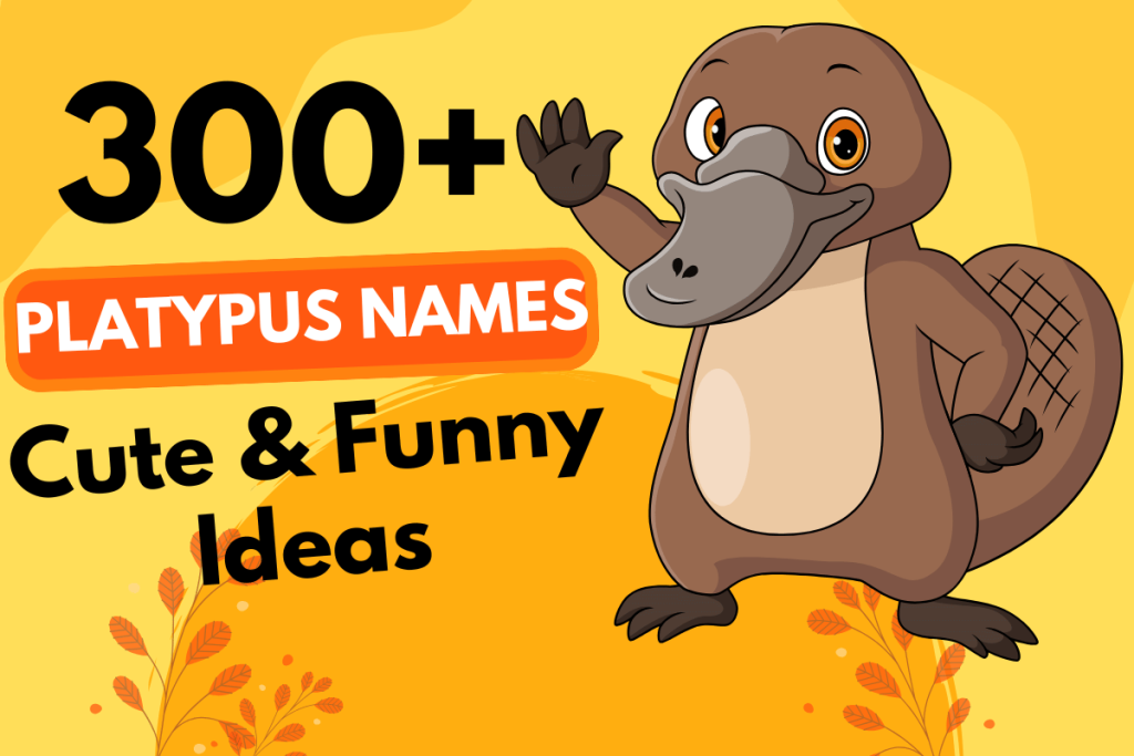 300 Platypus Names 1