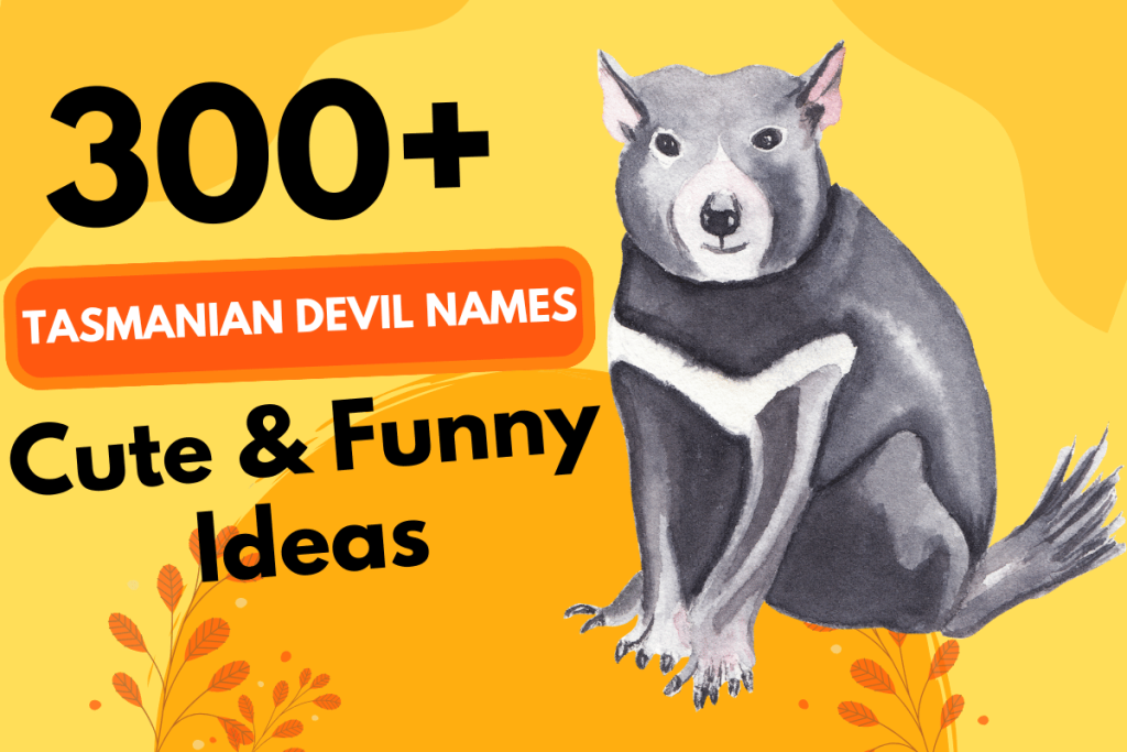 300 Tasmanian Devil Names