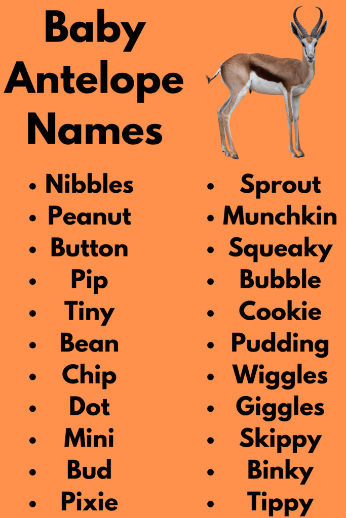 Baby Antelope Names