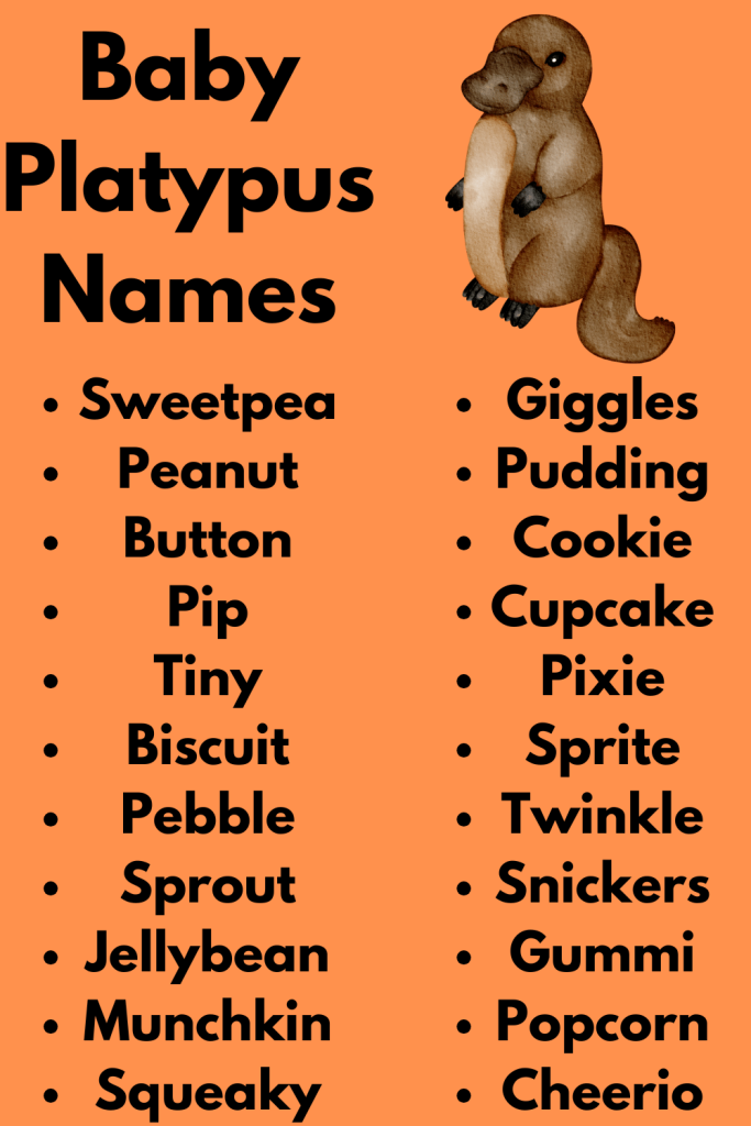 Baby Platypus Names