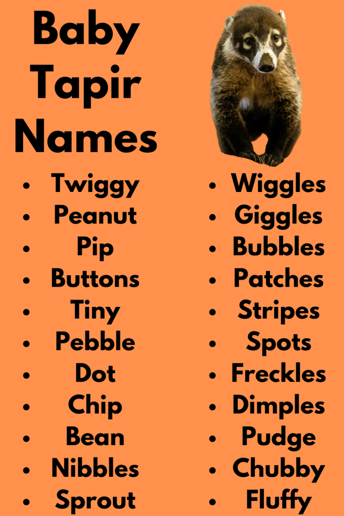 Baby Tapir Names