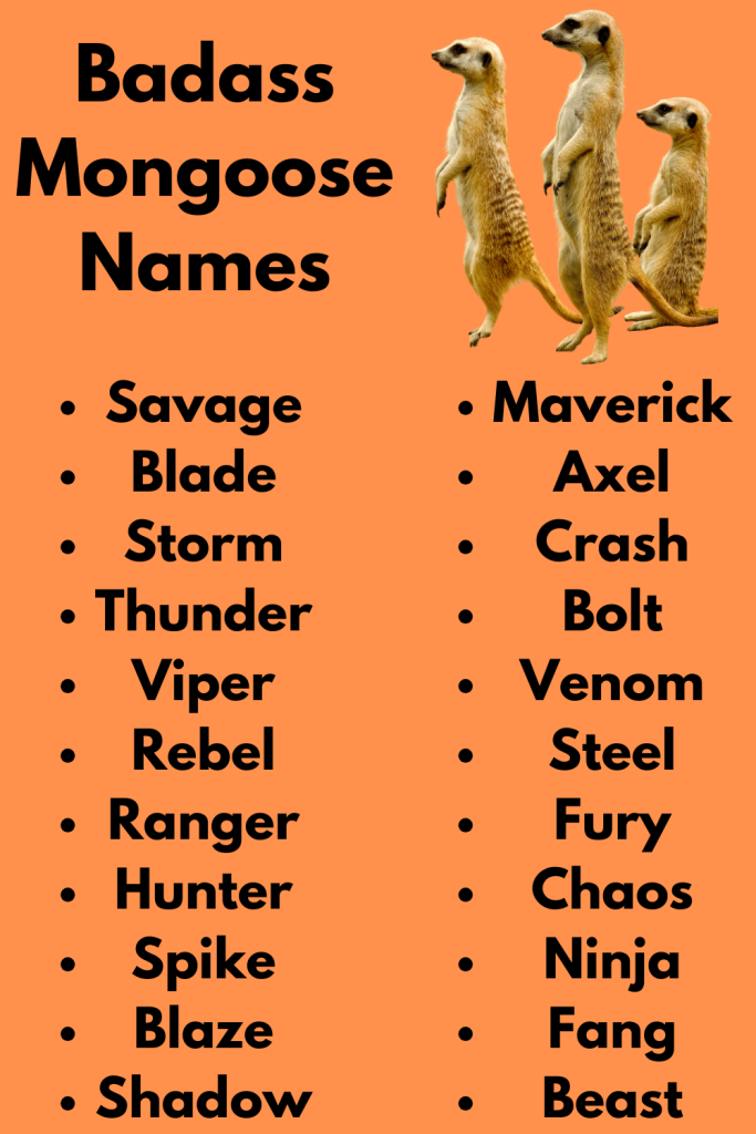 Badass Mongoose Names