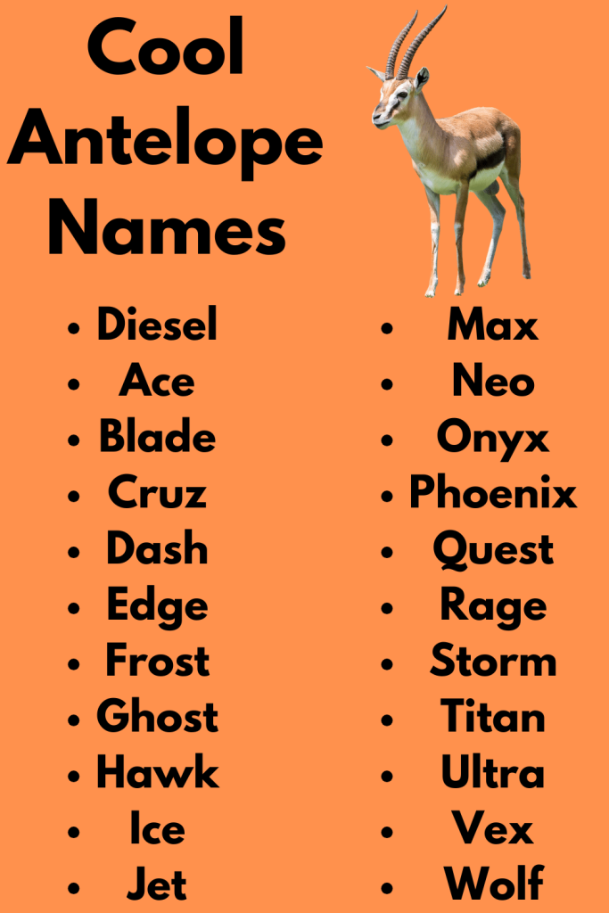 Cool Antelope Names