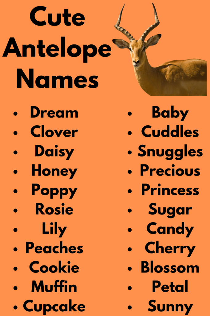 Cute Antelope Names