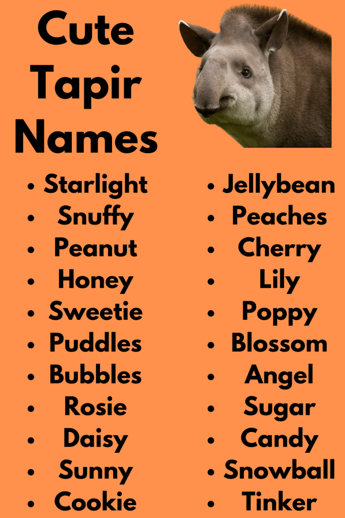 Cute Tapir Names