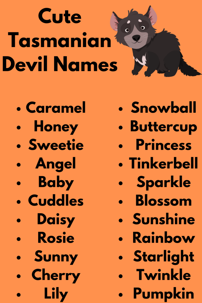 Cute Tasmanian Devil Names