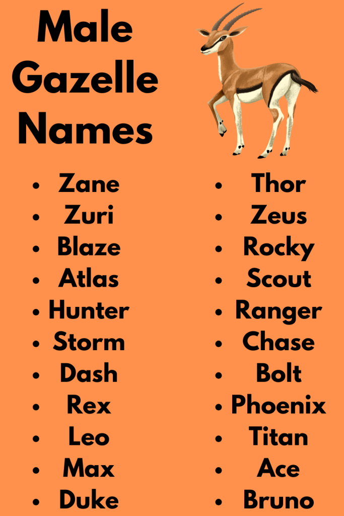 Male Gazelle Names
