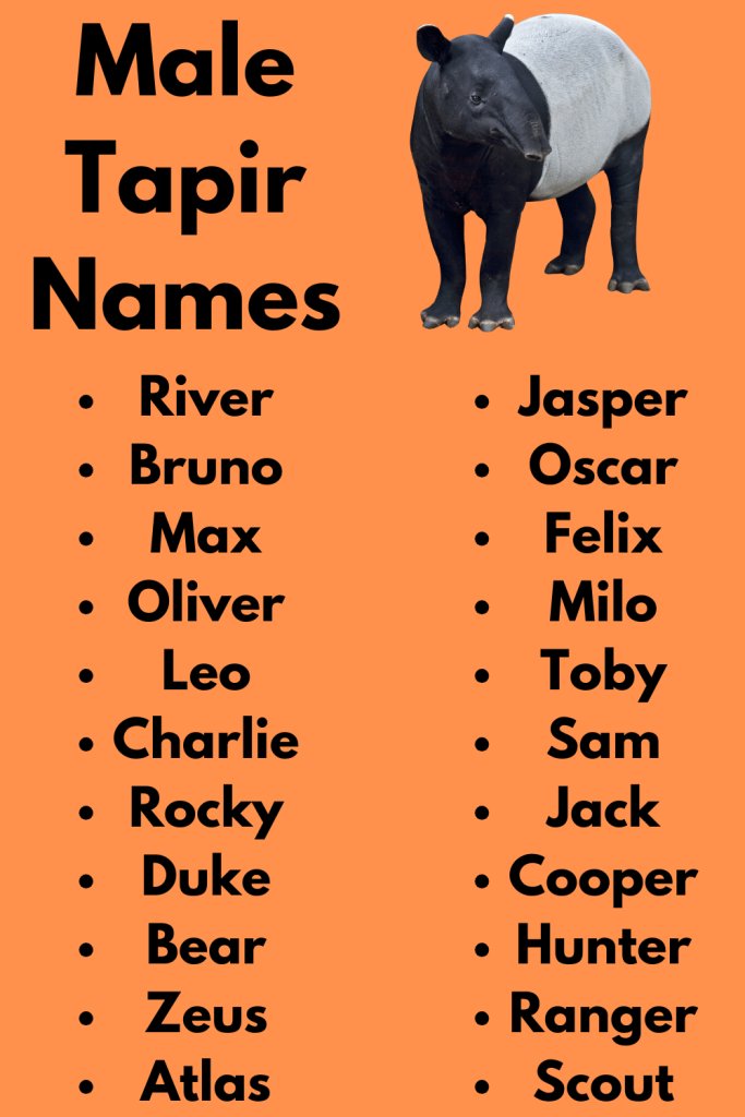 Male Tapir Names