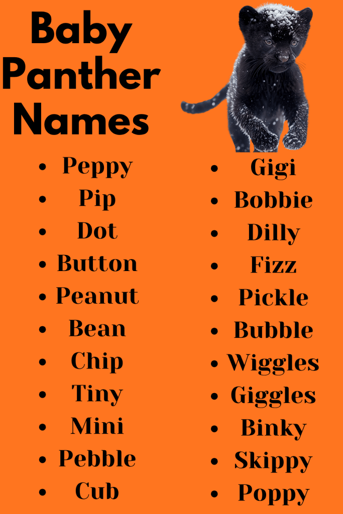 Baby Panther Names