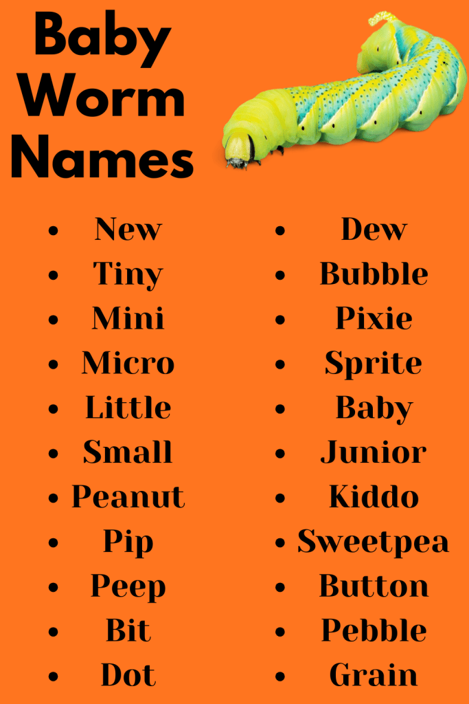 Baby Worm Names