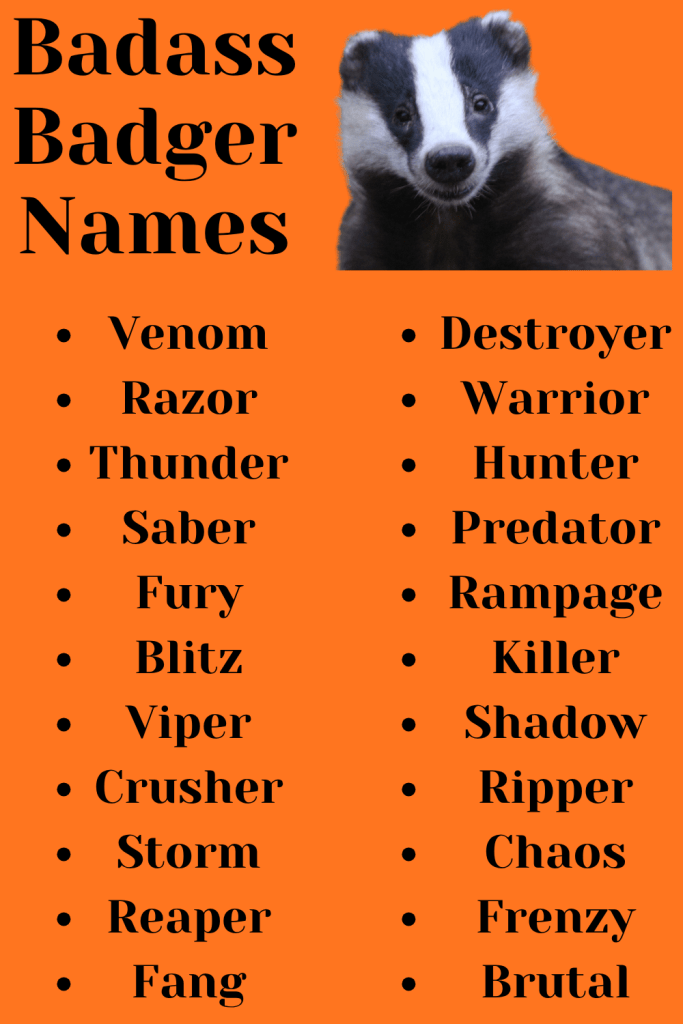 Badass Badger Names