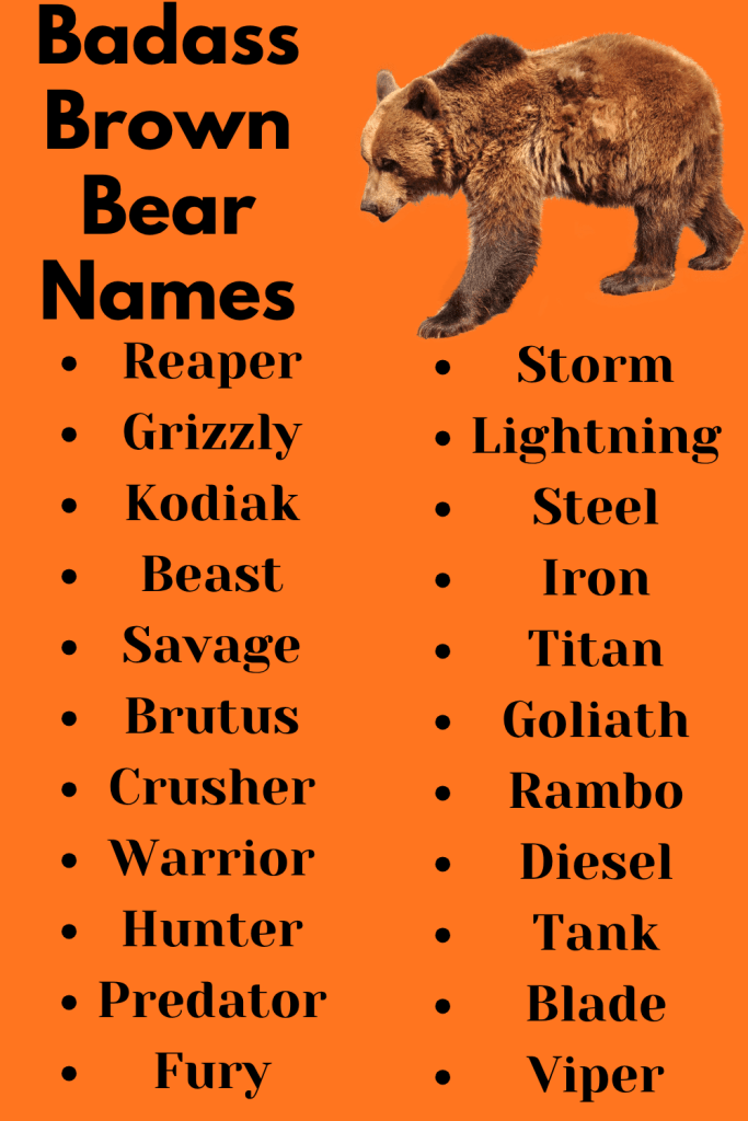 Badass Brown Bear Names