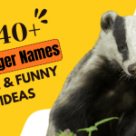 Badger Names
