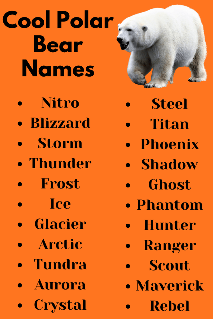 Cool Polar Bear Names