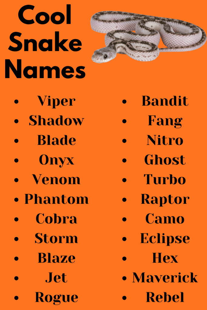 Cool Snake Names