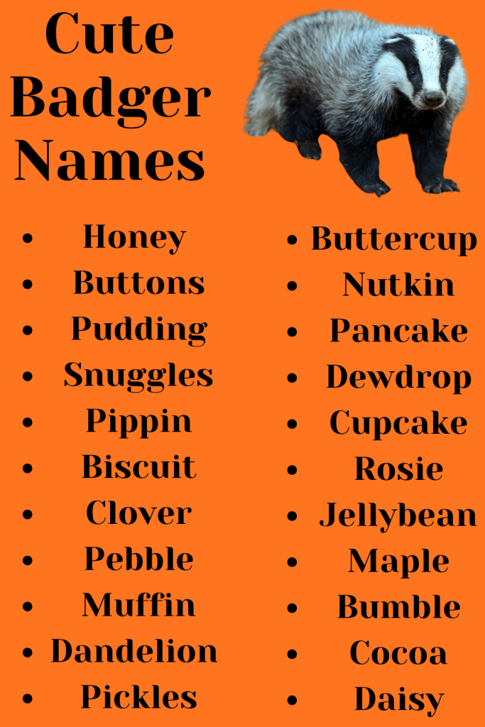Cute Badger Names