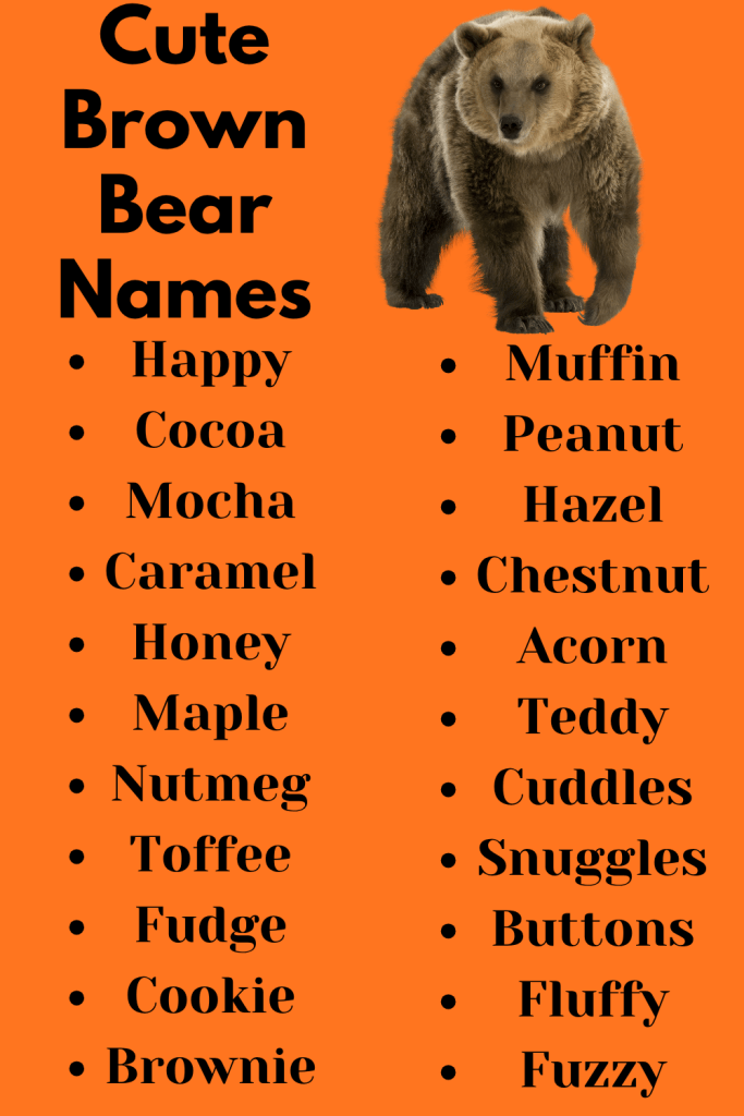 Cute Brown Bear Names