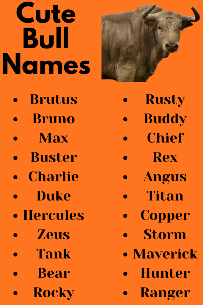 Cute Bull Names