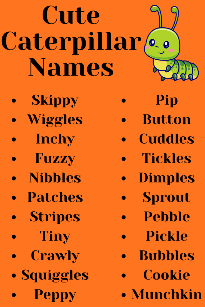 Cute Caterpillar Names