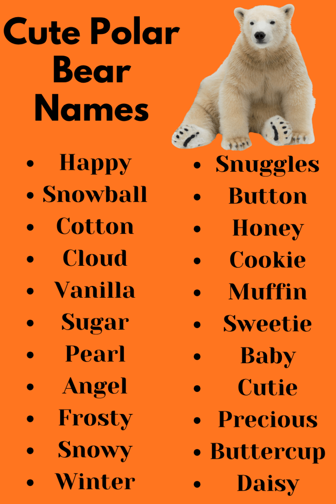 Cute Polar Bear Names