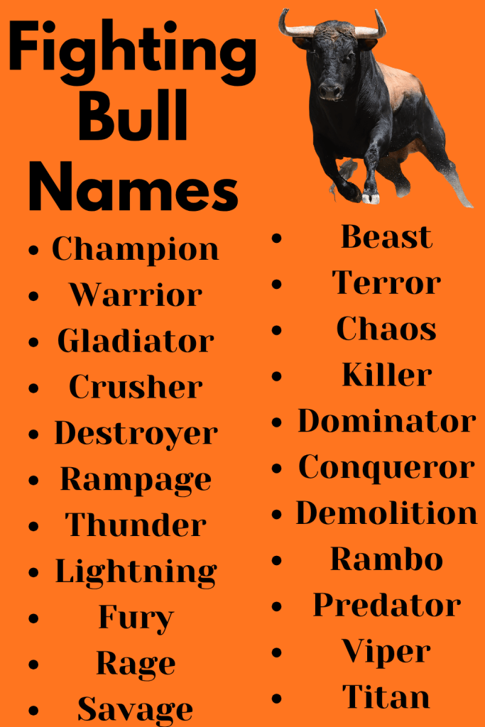 Fighting Bull Names