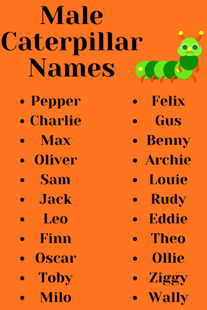 Male Caterpillar Names