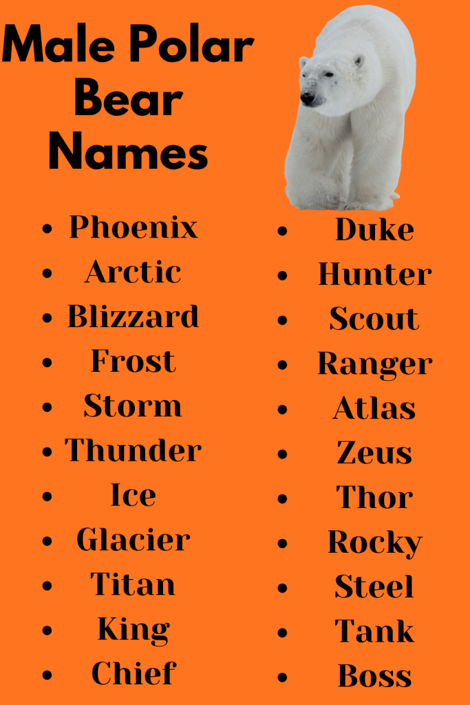 Male Polar Bear Names